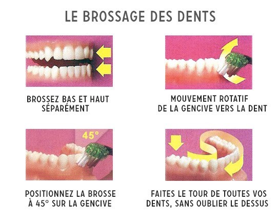 Le brossage dentaire